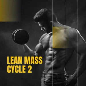 Lean mass cycle 2